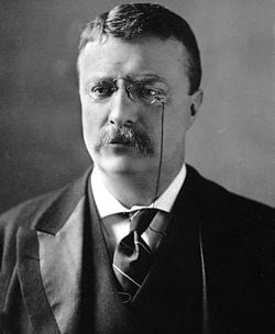 Theodore Roosevelt U.S. Presidency